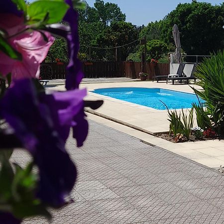Cadima Casa Calado 빌라 외부 사진